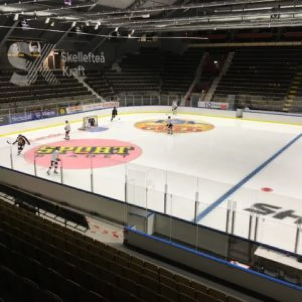 Ishockeyvant LS-PFX Flexivant