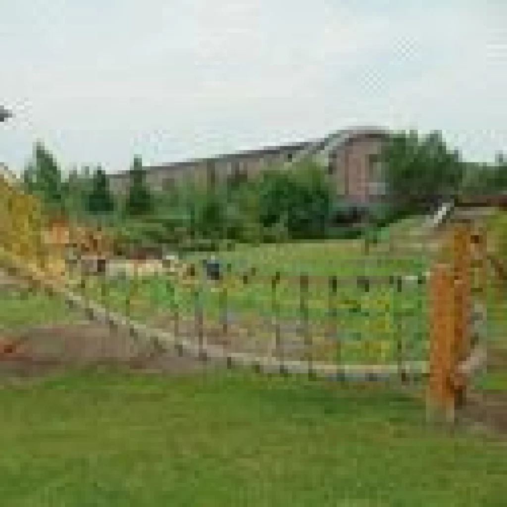 Jungelbro gangbane 9 cm, pr. lm