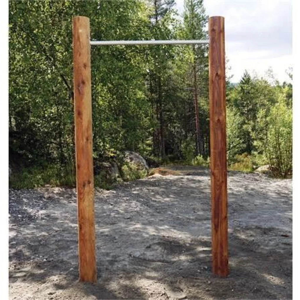 Chins stang (pull up)