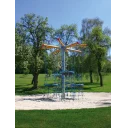 midi-fugleredetre-midi-bird-s-nest-tree