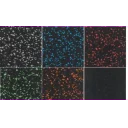 everroll-6-mm-beskyttelsesmatte