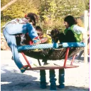 fuglerede-med-fjarer-bird-nest-springer