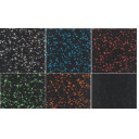 everroll-8-mm-beskyttelsesmatte