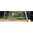 cyclops-tauendehuske-4-seter-single