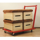 vogn-for-pallkasser-eller-innebandymal-eks-skyveboyle