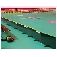 tillegg-for-farget-innbyttersone-pa-elite-vm-innebandyvant