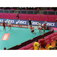 innebandyvant-swerink-elite-vm-20x40-m-kompl-med-2-vogner
