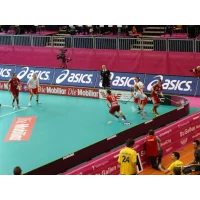 innebandyvant-swerink-elite-vm-20x40-m-kompl-med-2-vogner